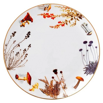 Полноразмерное изображение